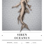 Siren Oceanus