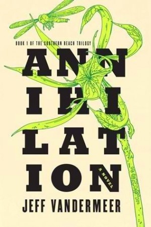 Annihilation