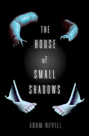 House of Small Shadows