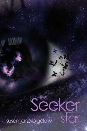 Seeker-Star-v1b-L