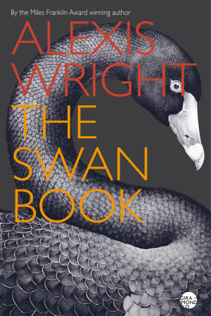 The-Swan-Book-cover