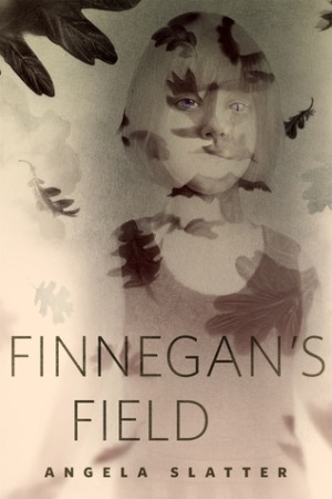 Finnegan's Field