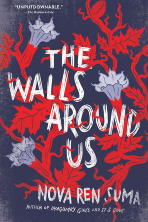 The Walls Around Us (PB)
