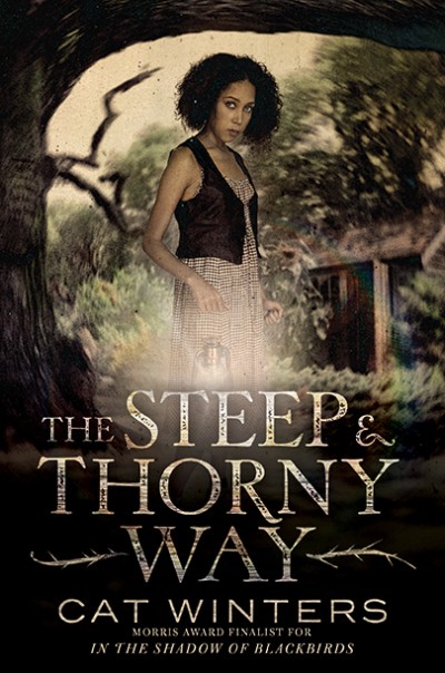 The Steep and Thorny Way