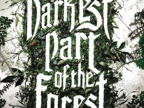 the darkest part of the forest by holly black
